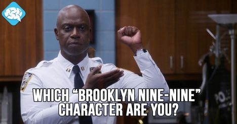 You are Captain Holt!
