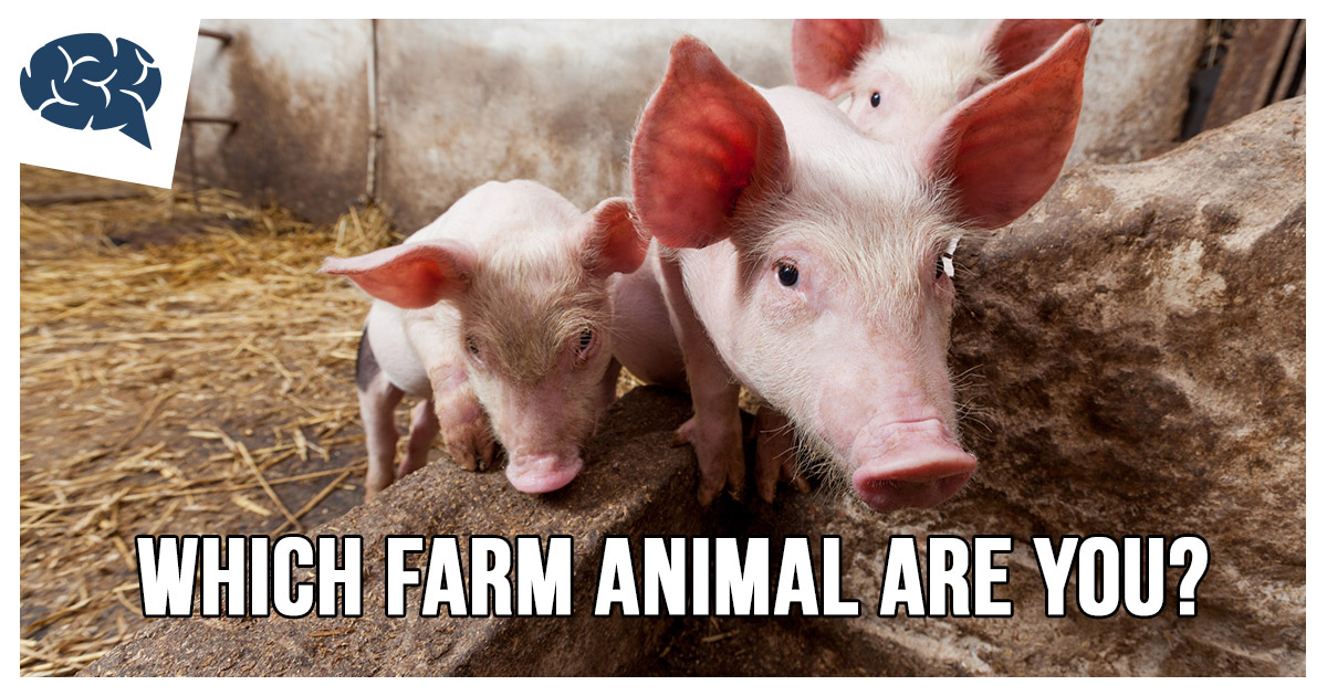 Which Farm Animal Are You? BrainFall