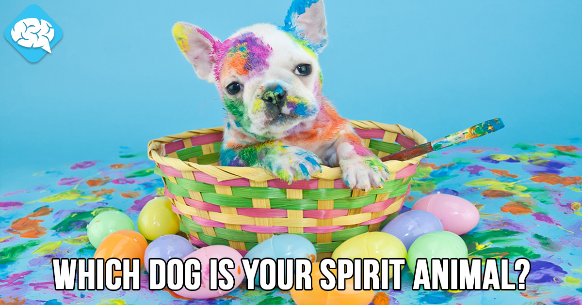 Which Dog Is Your Spirit Animal? BrainFall